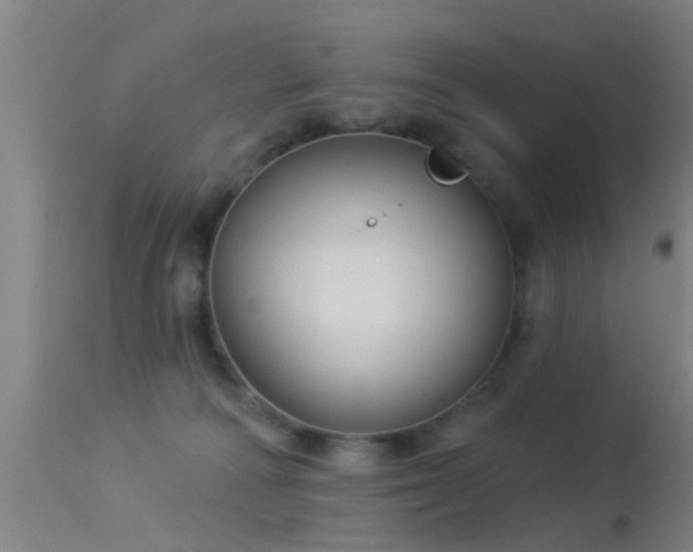 X0000114180226200910151708