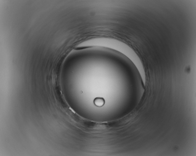 X0000114180227200910151708