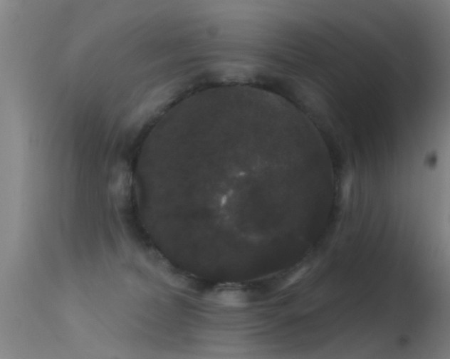 X0000114180228200910151708