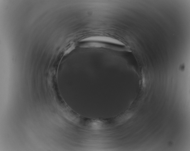 X0000114180229200910151708