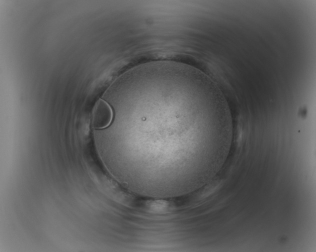 X0000114180230200910151708