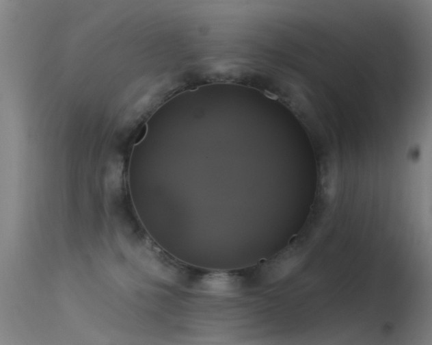 X0000114180231200910151708