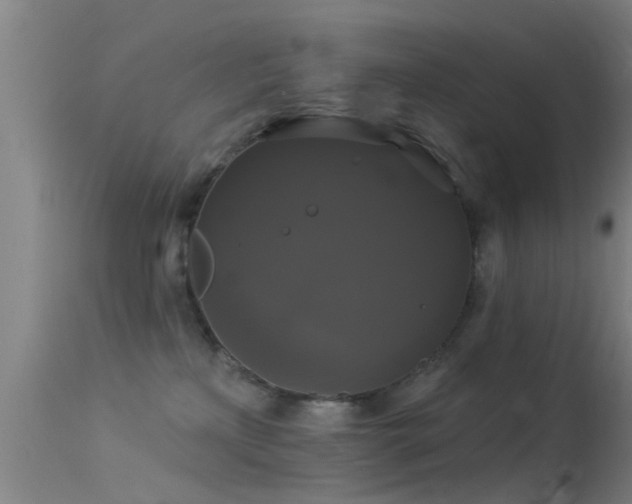 X0000114180233200910151708