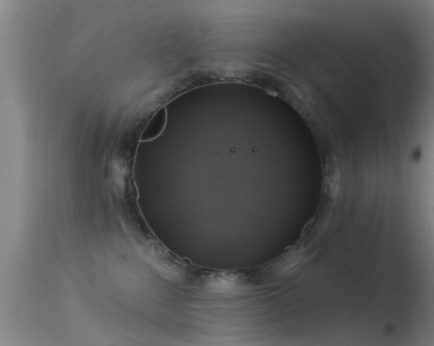 X0000114180235200910151708