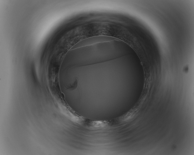 X0000114180239200910151708