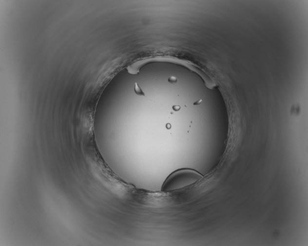 X0000114180240200910151708