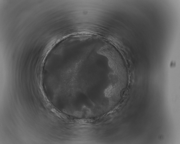 X0000114180241200910151707