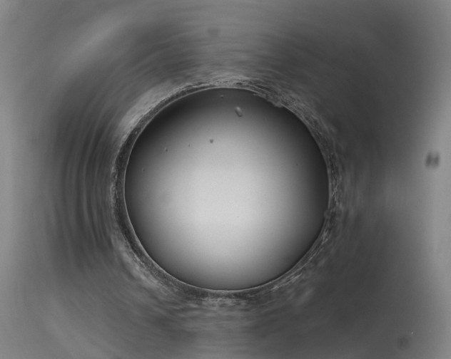 X0000114180242200910151707