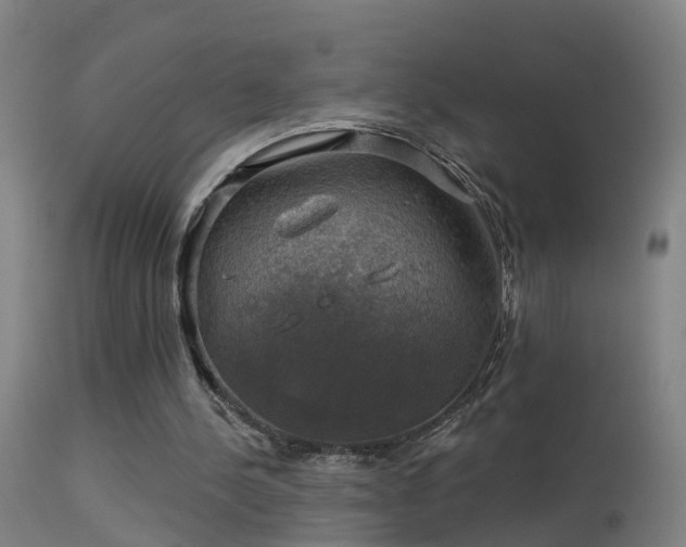 X0000114180244200910151708