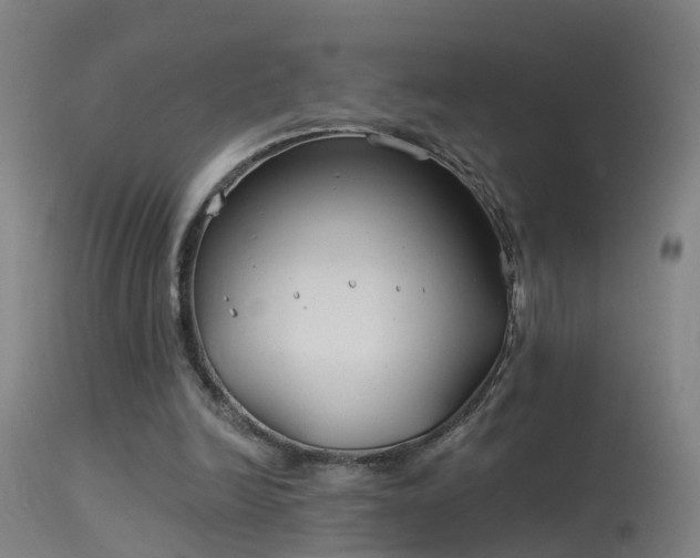 X0000114180246200910151708