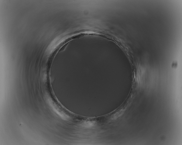 X0000114180247200910151708