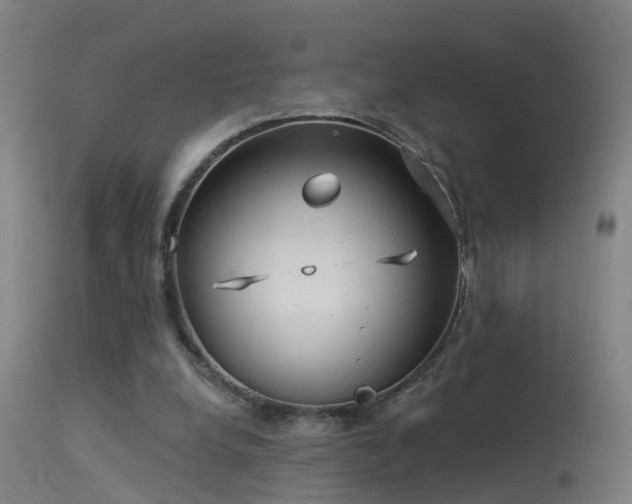 X0000114180248200910151708