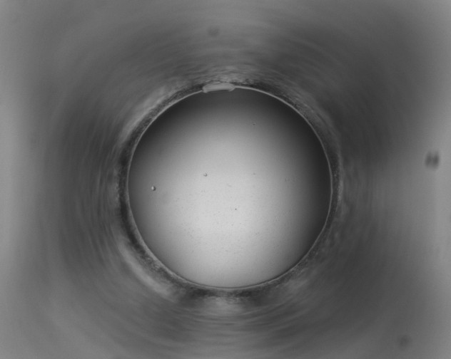 X0000114180250200910151708