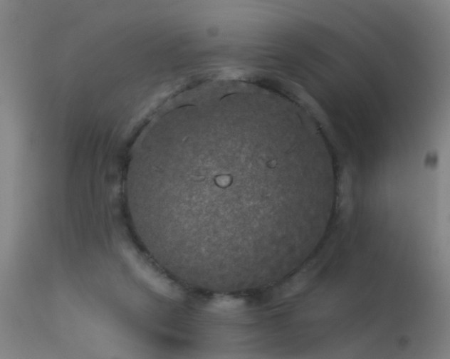 X0000114180257200910151708