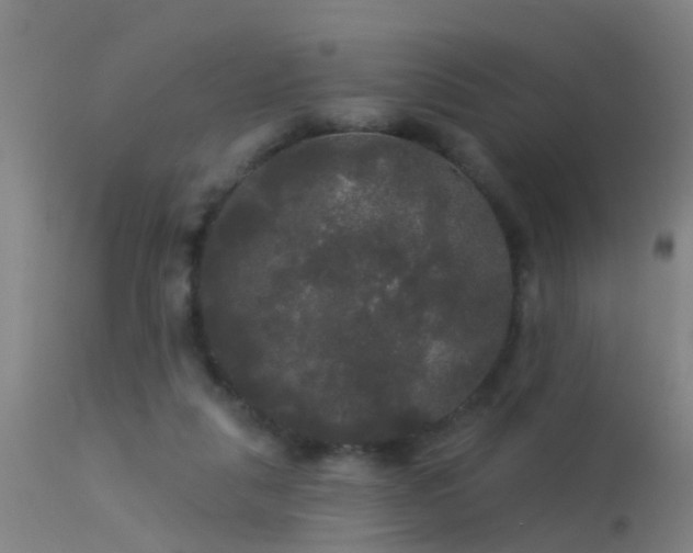 X0000114180259200910151708