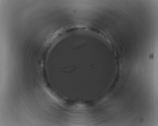 X0000114180260200910151708