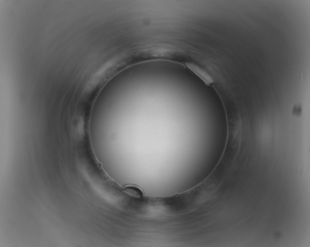 X0000114180262200910151708