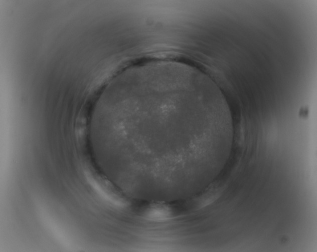 X0000114180263200910151708