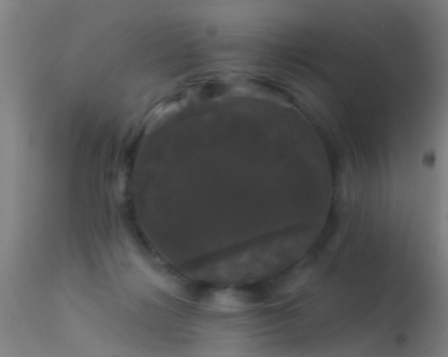 X0000114180268200910151708