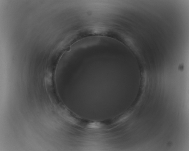 X0000114180269200910151708