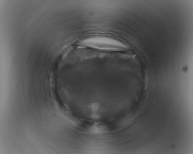 X0000114180270200910151708