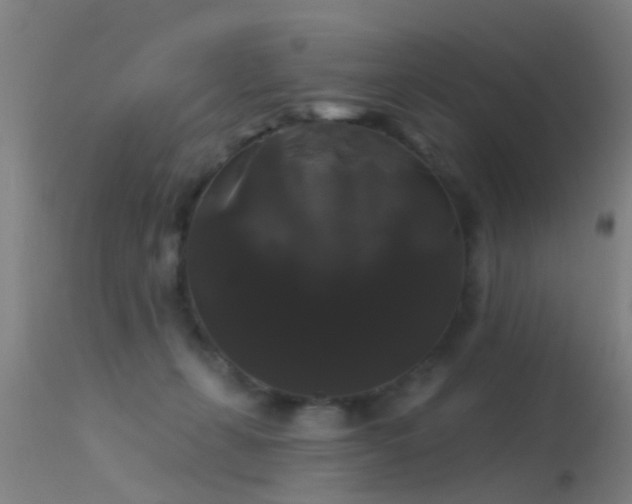 X0000114180271200910151708