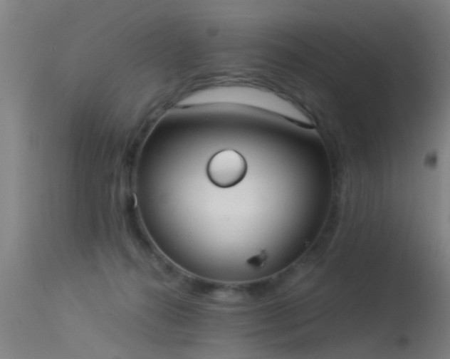 X0000114180272200910151708