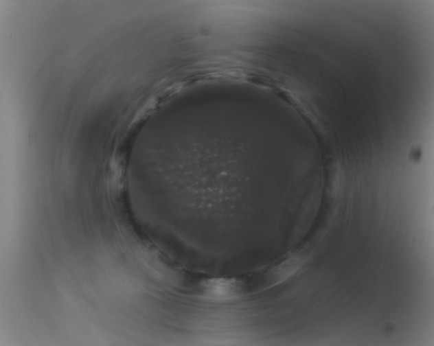 X0000114180273200910151708