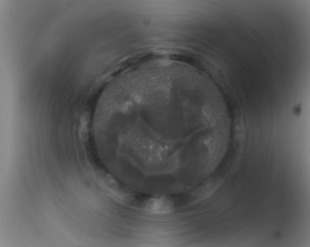 X0000114180275200910151708