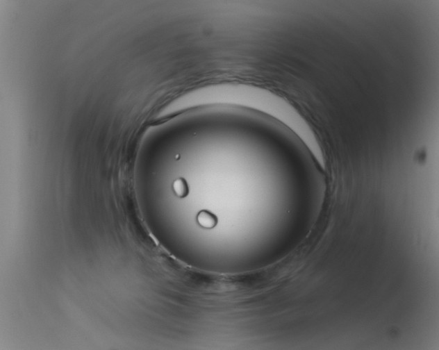 X0000114180276200910151708