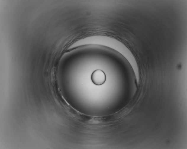 X0000114180280200910151708