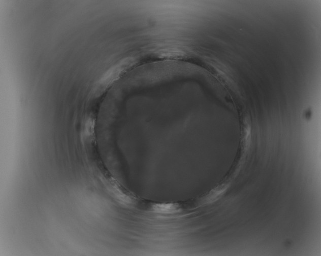 X0000114180281200910151708