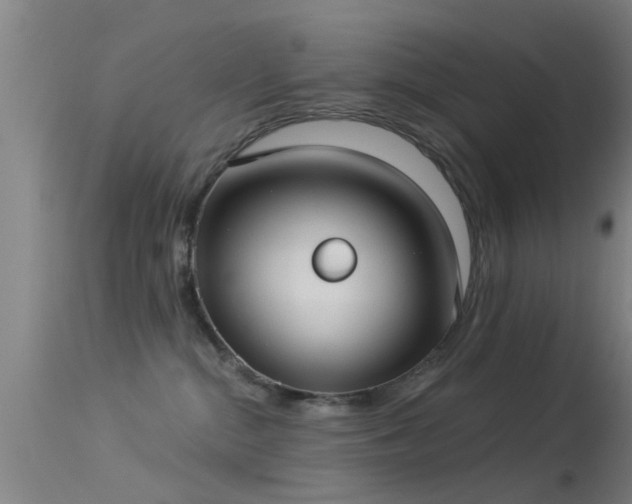 X0000114180284200910151708