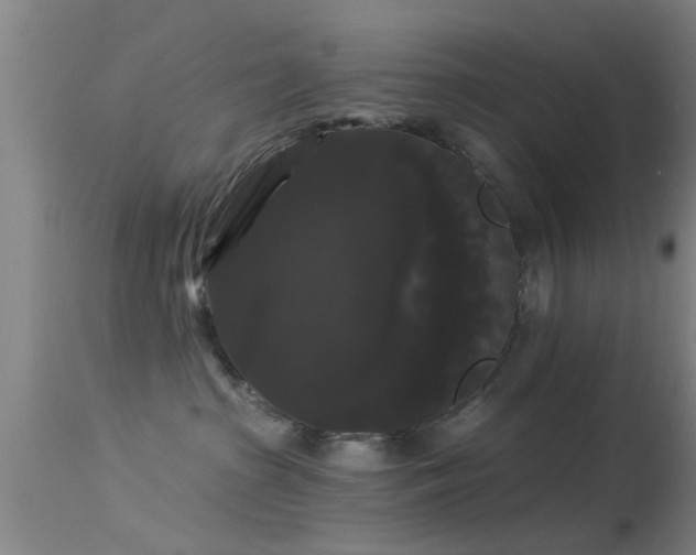 X0000114180285200910151708