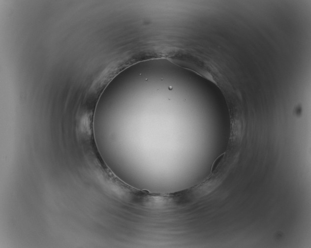 X0000114180286200910151708