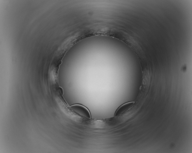 X0000114180287200910151708