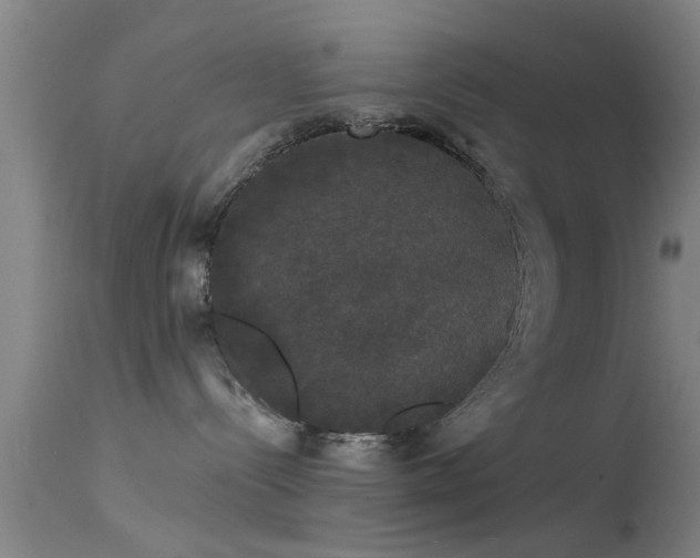 X0000114180288200910151708