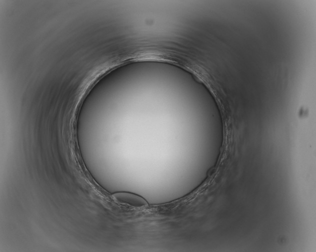 X0000114180289200910151707