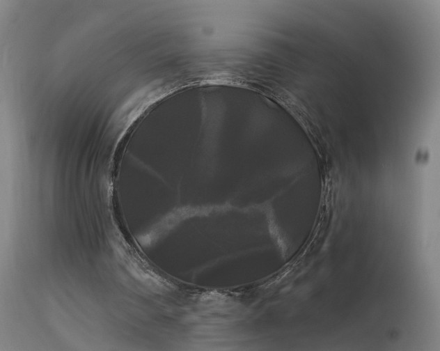 X0000114180290200910151707