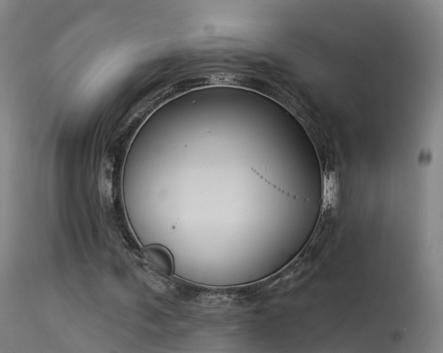 X0000114180291200910151707