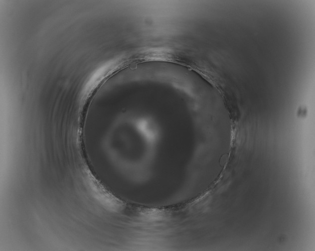 X0000114180293200910151707