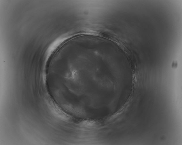 X0000114180294200910151707