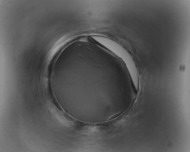 X0000114180295200910151707