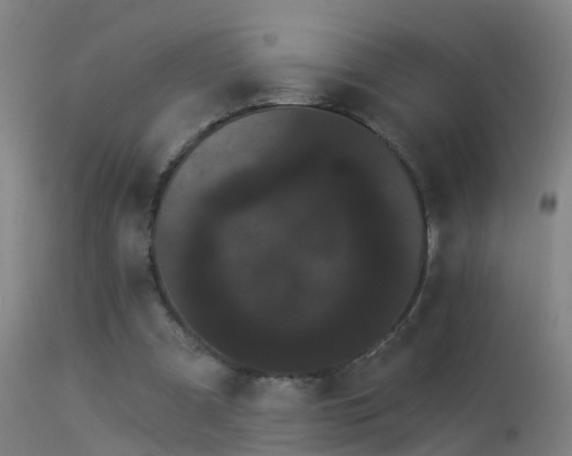 X0000114180297200910151707