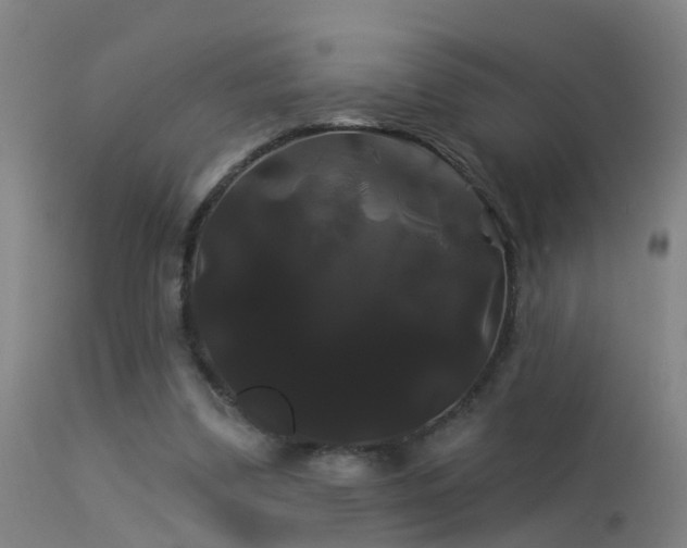 X0000114180299200910151707