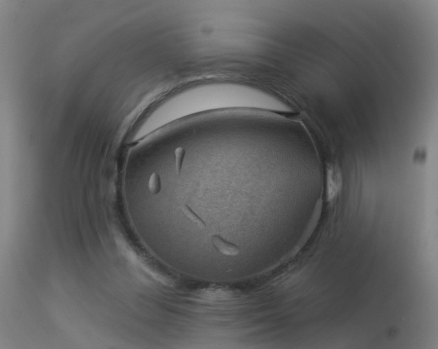 X0000114180300200910151707