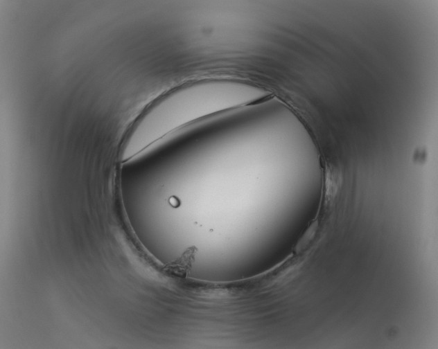 X0000114180301200910151707