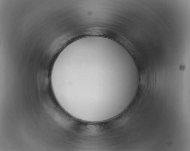 X0000114180302200910151707