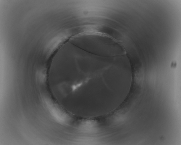 X0000114180304200910151707