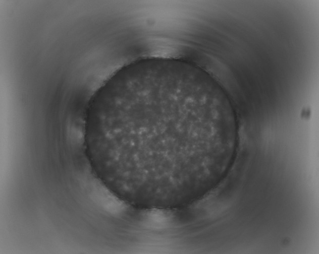 X0000114180305200910151707